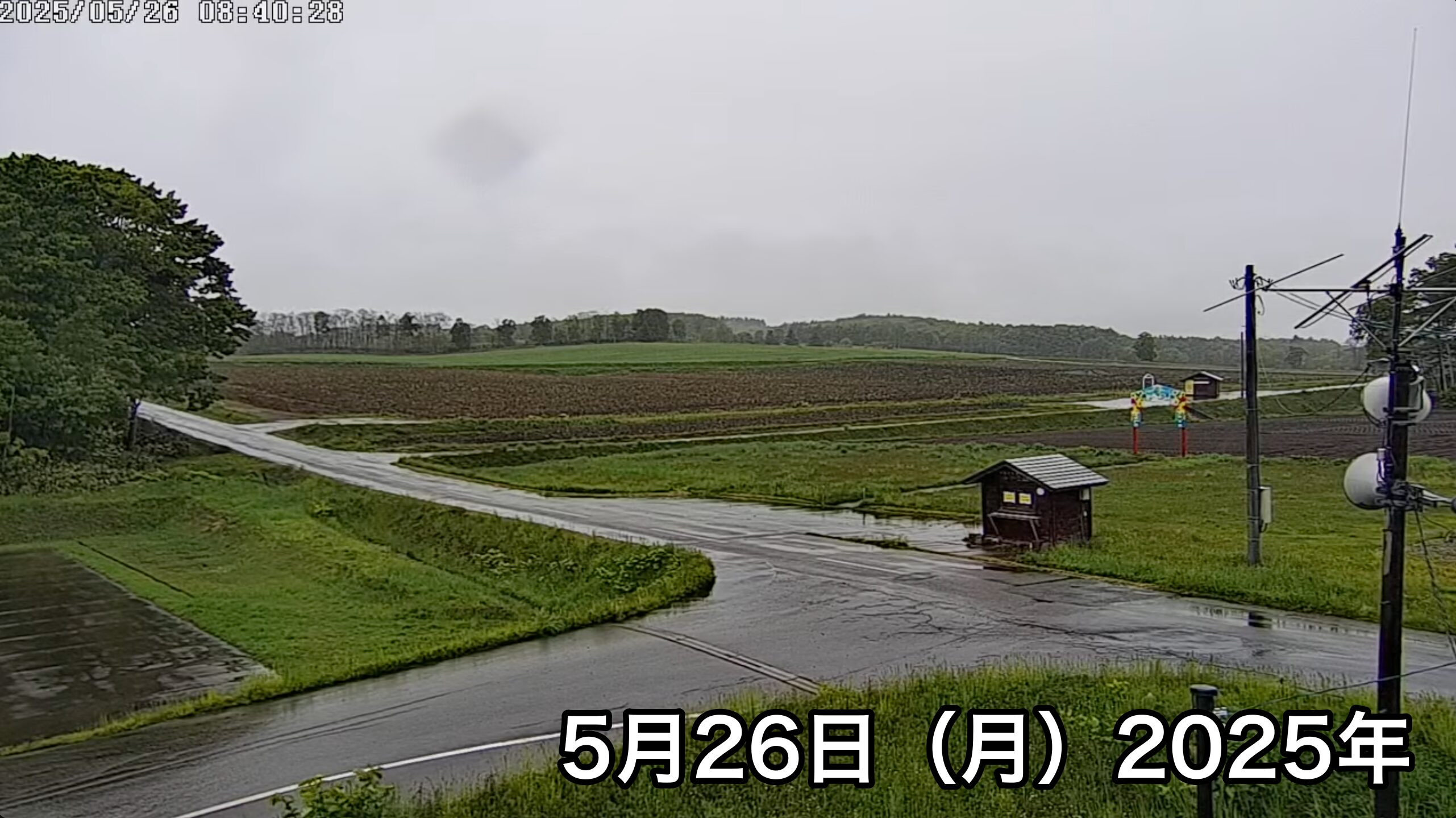 Live Streaming of Hokuryu-cho Sunflower Tourist Association